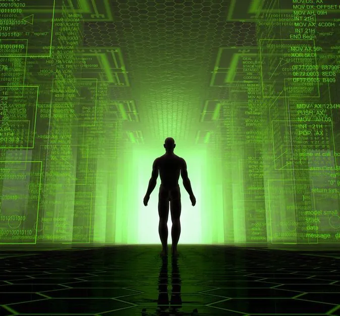 A programmer trapped in a simulation!