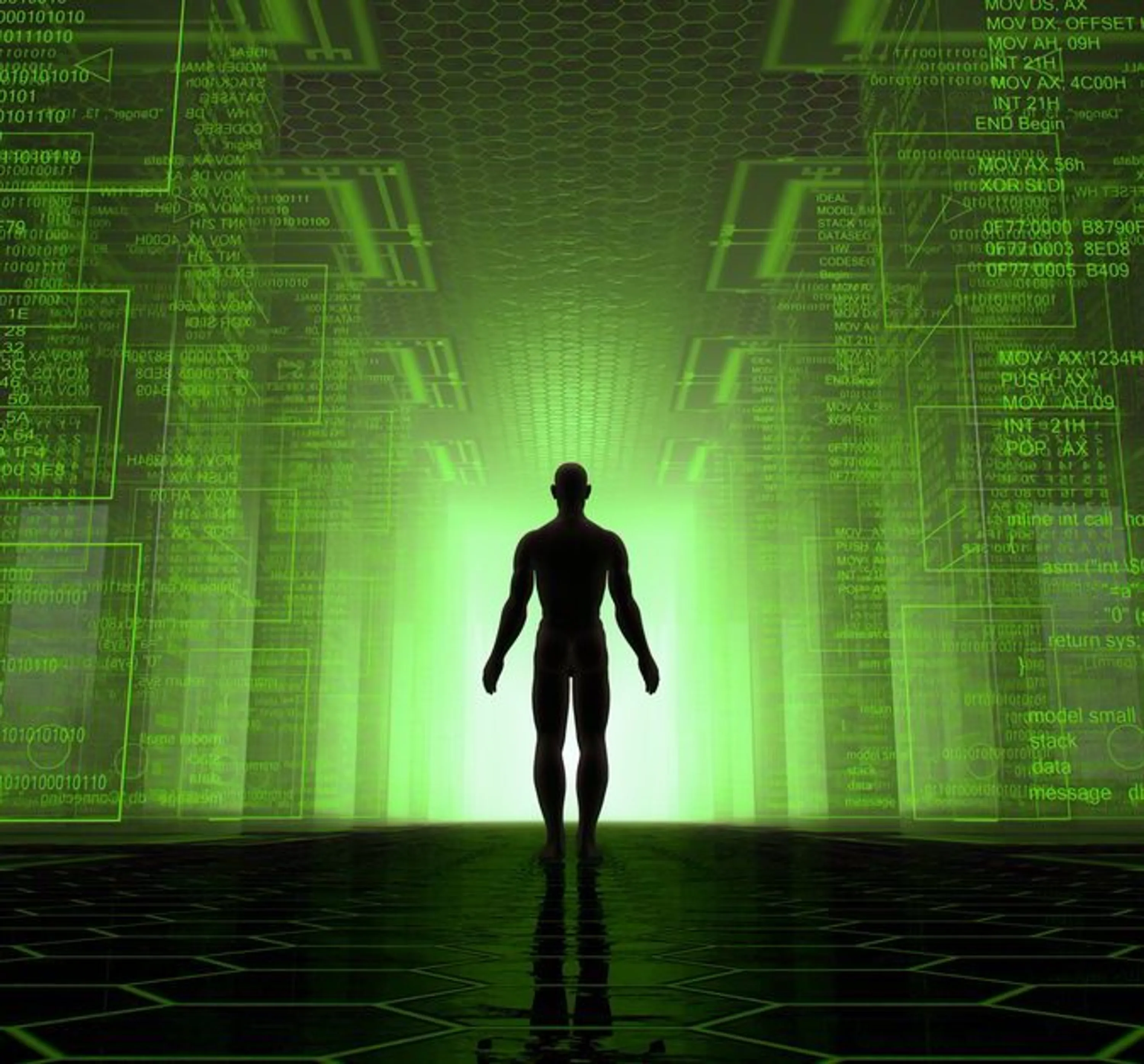 A programmer trapped in a simulation!