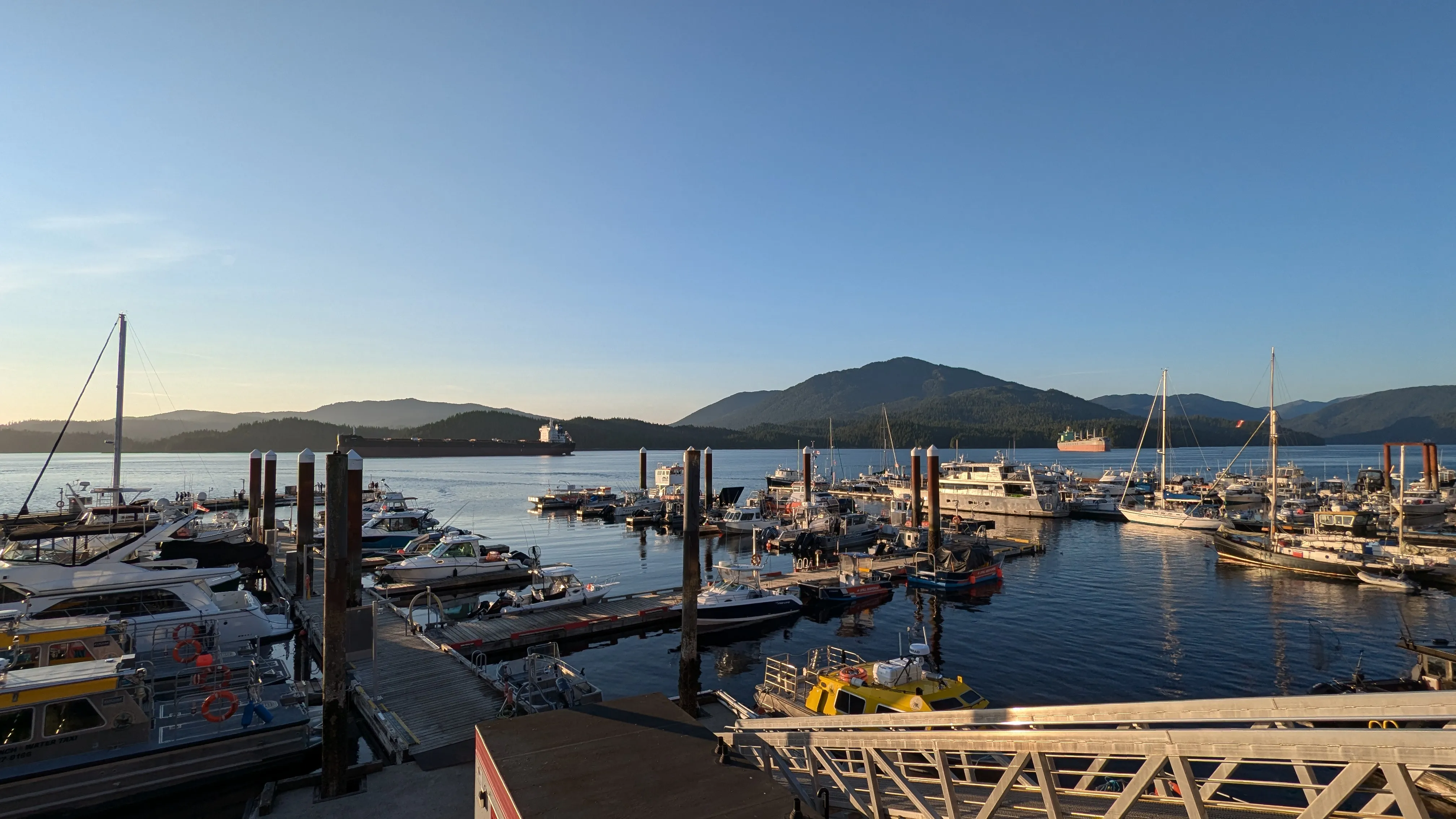 Cow Bay Marina